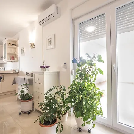 Sandrica Apartment Vrsi